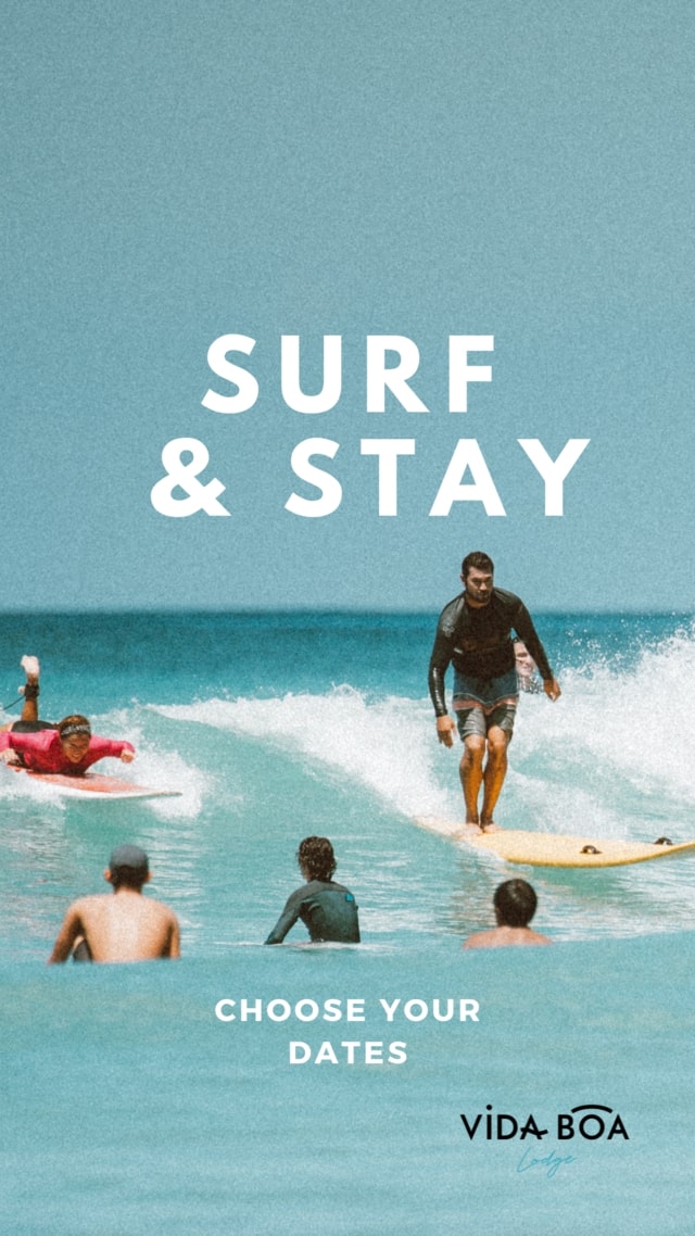 4surfstay-cover